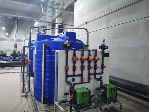 藏于芳草之下 探秘宜昌的生态型污水处理厂