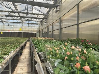 循环利用，清流再生 北京再生水利用率近三成的实践与启示