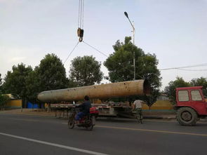 金岭污水处理与再生利用 构筑生态屏障，赋能可持续发展